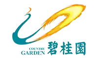Partner 6